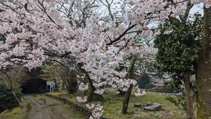 勝持寺(花の寺)(京都府)