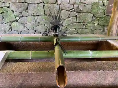 長谷寺の手水舎