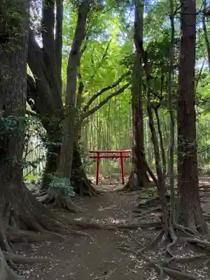 浅間神社(千葉県)