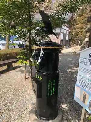 熊野本宮大社(和歌山県)