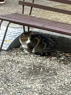 今市報徳二宮神社(栃木県)
