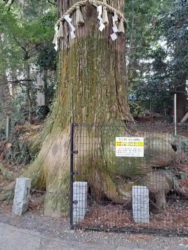 高尾山薬王院(東京都)