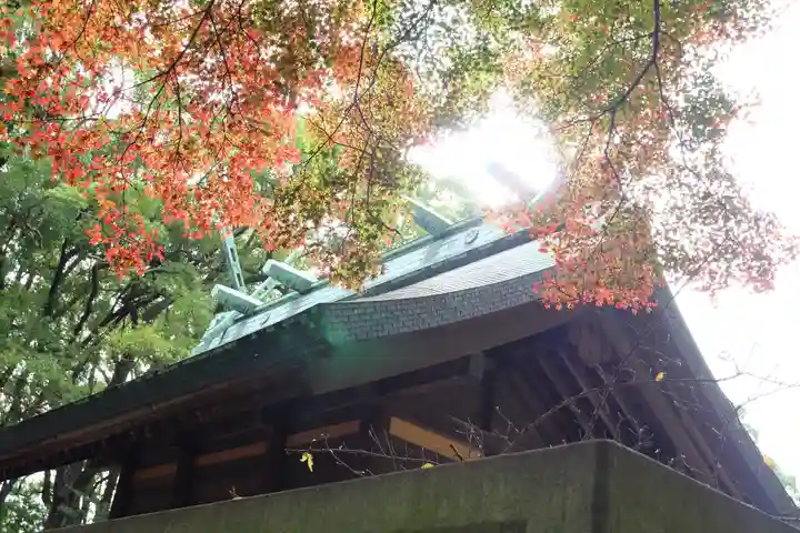 鎌倉宮の本殿・本堂