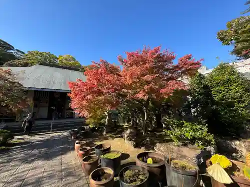 伊勢の国 四天王寺(三重県)