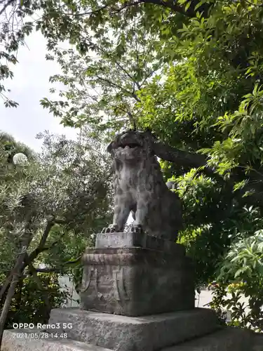 芝東照宮の狛犬