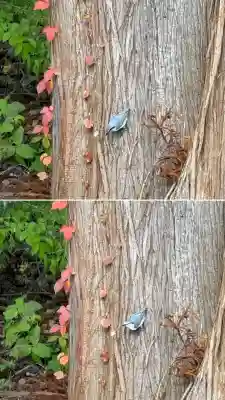 矢不来天満宮(北海道)