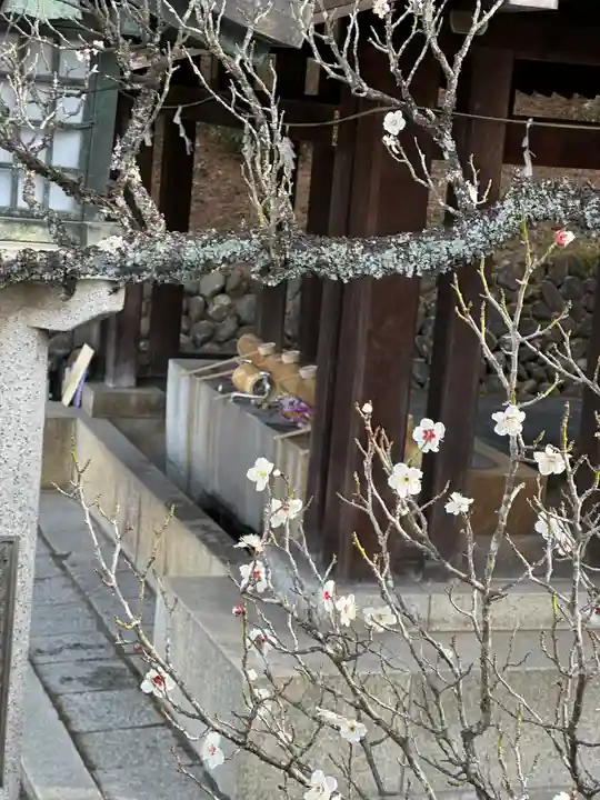 群馬県護国神社(群馬県)