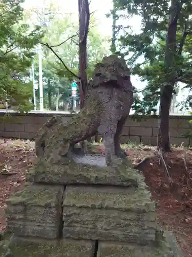 富良野神社の狛犬