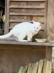 伊佐須美神社の動物