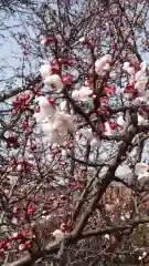 相馬神社の自然