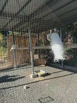 進雄神社の{uncategorized: "未分類", other: "その他", undefined: "問題あり", building: "その他建物", grave: "お墓", sacred_gate: "鳥居", guardian: "狛犬", statue: "像", buddha: "仏像", history: "歴史", nature: "自然", garden: "庭園", animal: "動物", pagoda: "塔", temizu: "手水舎", mountain_gate: "山門・神門", sanctuary: "本殿・本堂", subordinate: "末社・摂社", art: "芸術", scenery: "景色", jizo: "地蔵", ema: "絵馬", goshuin: "御朱印", omikuji: "おみくじ", items: "授与品その他", amulet: "お守り", goshuincho: "御朱印帳", eats: "食事", festival: "お祭り", votive_dance: "神楽", shichigosan: "七五三参", wedding: "結婚式", experience: "体験その他", initially: "初詣", around: "周辺", anti_infection: "感染症対策"}
