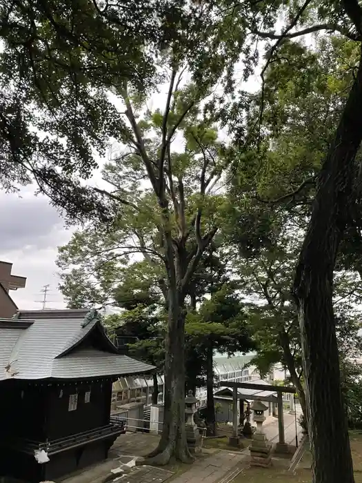 三宿神社の建物その他