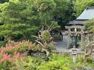 嚴島神社 (京都御苑)(京都府)