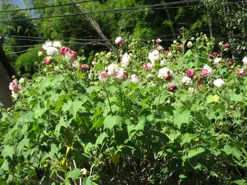 長岳寺(奈良県)