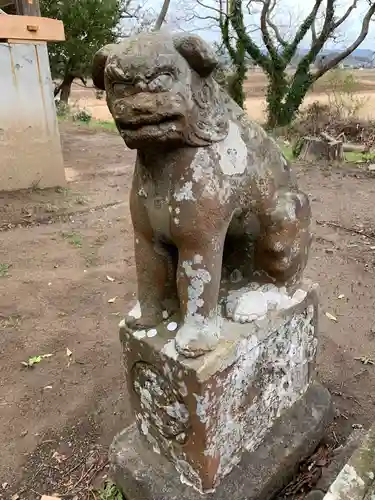 八幡神社の狛犬