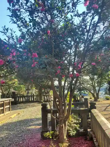 大宮神社の自然