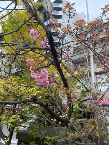 東神奈川熊野神社の{uncategorized: "未分類", other: "その他", undefined: "問題あり", building: "その他建物", grave: "お墓", sacred_gate: "鳥居", guardian: "狛犬", statue: "像", buddha: "仏像", history: "歴史", nature: "自然", garden: "庭園", animal: "動物", pagoda: "塔", temizu: "手水舎", mountain_gate: "山門・神門", sanctuary: "本殿・本堂", subordinate: "末社・摂社", art: "芸術", scenery: "景色", jizo: "地蔵", ema: "絵馬", goshuin: "御朱印", omikuji: "おみくじ", items: "授与品その他", amulet: "お守り", goshuincho: "御朱印帳", eats: "食事", festival: "お祭り", votive_dance: "神楽", shichigosan: "七五三参", wedding: "結婚式", experience: "体験その他", initially: "初詣", around: "周辺", anti_infection: "感染症対策"}
