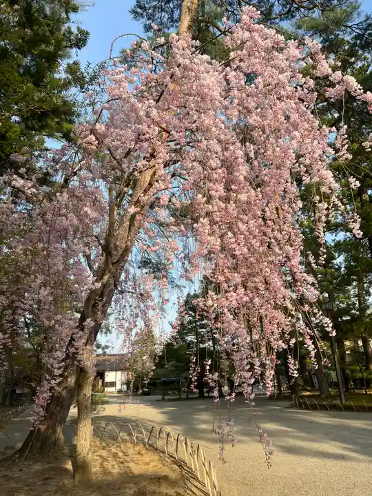 毛越寺(岩手県)