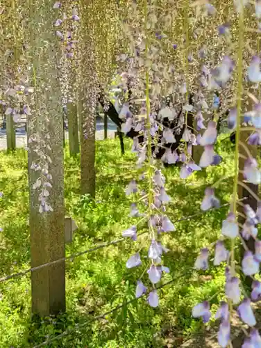 三大神社(滋賀県)