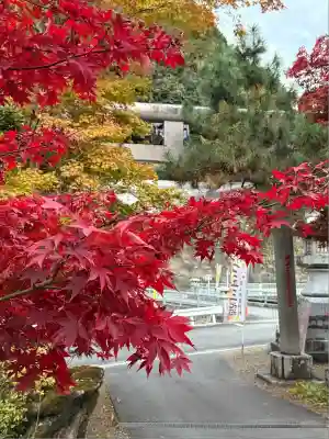 秩父御嶽神社(埼玉県)