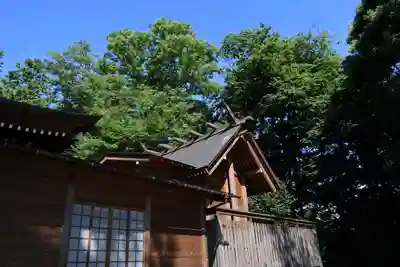 阿久津「田村神社」(郡山市阿久津町)旧社名:伊豆箱根三嶋三社の本殿・本堂