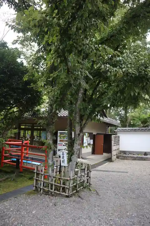 今熊野観音寺(京都府)