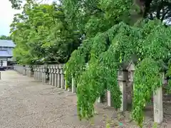 多坐弥志理都比古神社(奈良県)