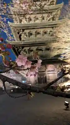 東寺（教王護国寺）(京都府)