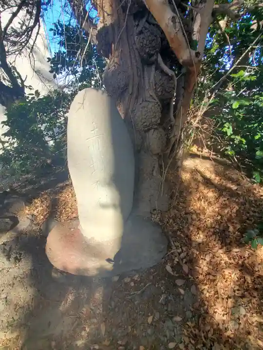 開運招福 飯玉神社(群馬県)