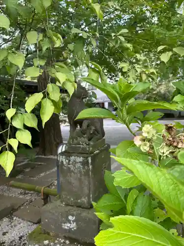 大吉寺(東京都)