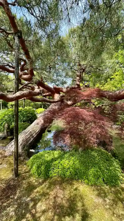 城南宮(京都府)