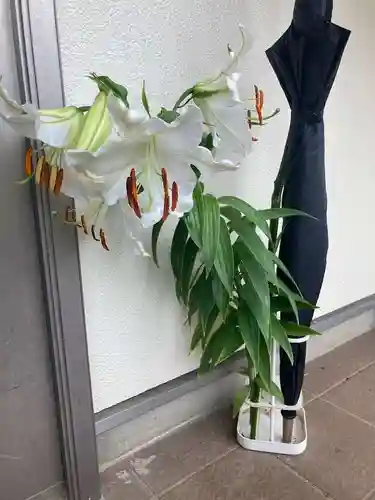 蓮久寺(千葉県)