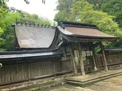 若狭彦神社（上社）の本殿・本堂