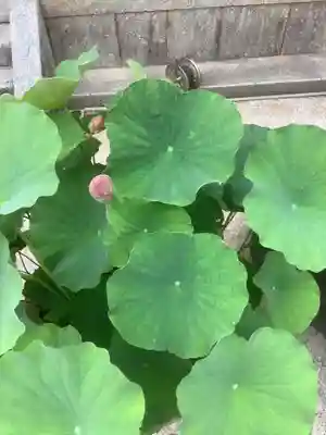 海蔵寺(愛知県)