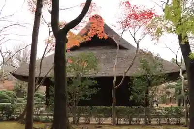 平林寺(埼玉県)