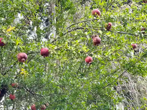 播州清水寺の自然