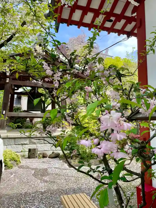 養福寺(東京都)