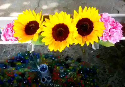 星置神社の手水舎