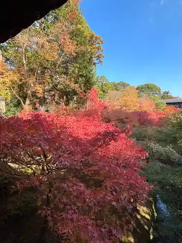 東福禅寺（東福寺）(京都府)