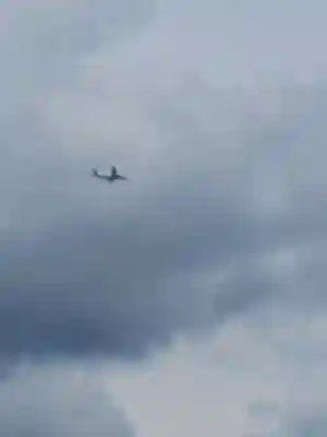 東本願寺本廟 牛久浄苑(牛久大仏)(茨城県)