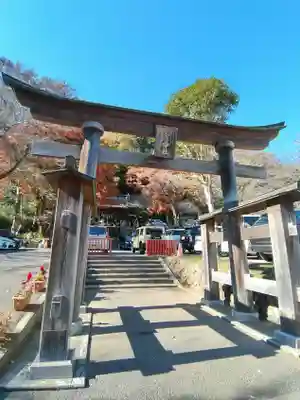 高尾山麓氷川神社の鳥居