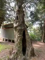 白鳥神社の自然