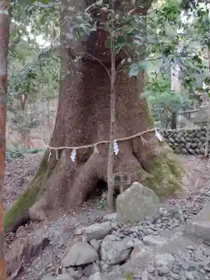 豊浦神社(三重県)