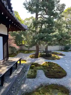 廬山寺(廬山天台講寺)(京都府)
