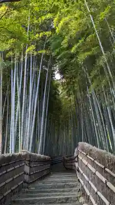 化野念仏寺(京都府)