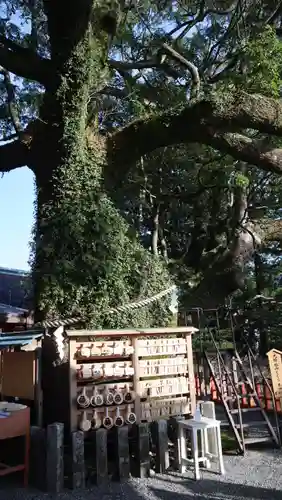 熊野那智大社(和歌山県)