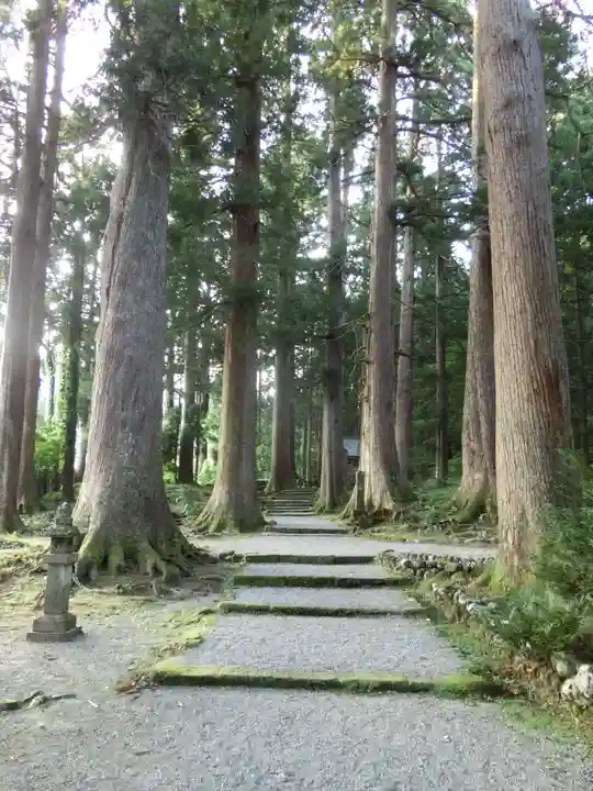 雄山神社中宮祈願殿の自然