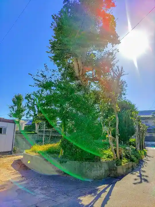 富士浅間神社の自然