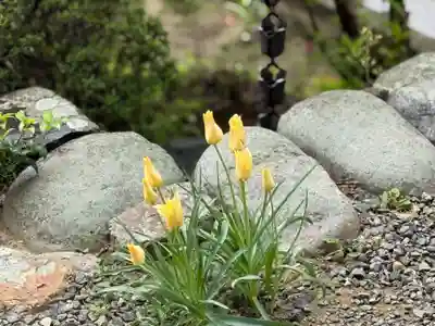 西方山極楽寺(岐阜県)