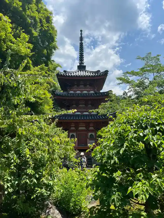 三室戸寺(京都府)